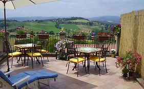 La terrazza fio...Rita